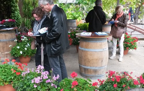 Géraniums label rouge Jury de consommateurs Terra Botanica 2015 (A.Monsarrat)