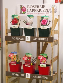 Stand Laperrière. Convention APEX 2017