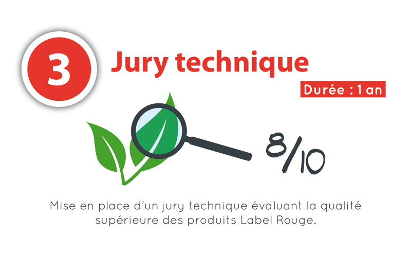 3- Jury technique