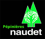 Naudet Sapins de Noël (Habilité)