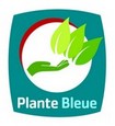 Plante Bleue