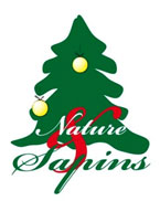 Nature & Sapins (Habilité)
