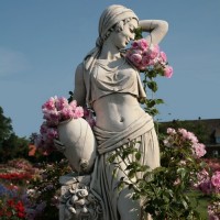Jasmina ®